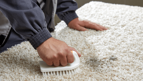 Professional Rug Cleaning Castella